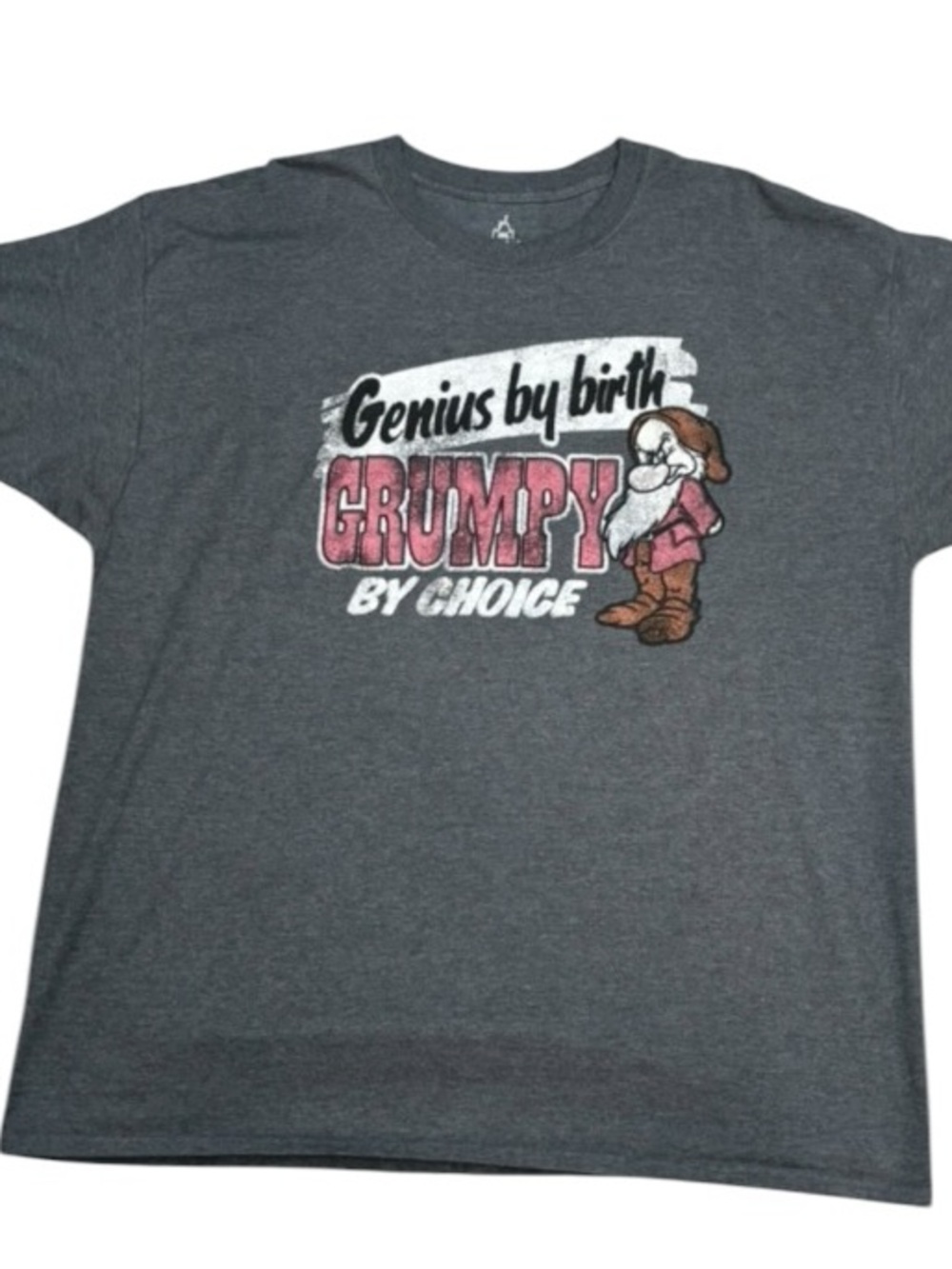 Disneyland Resort Walt Disney World Genius By Birth Grumpy By Choice Tee 2XL